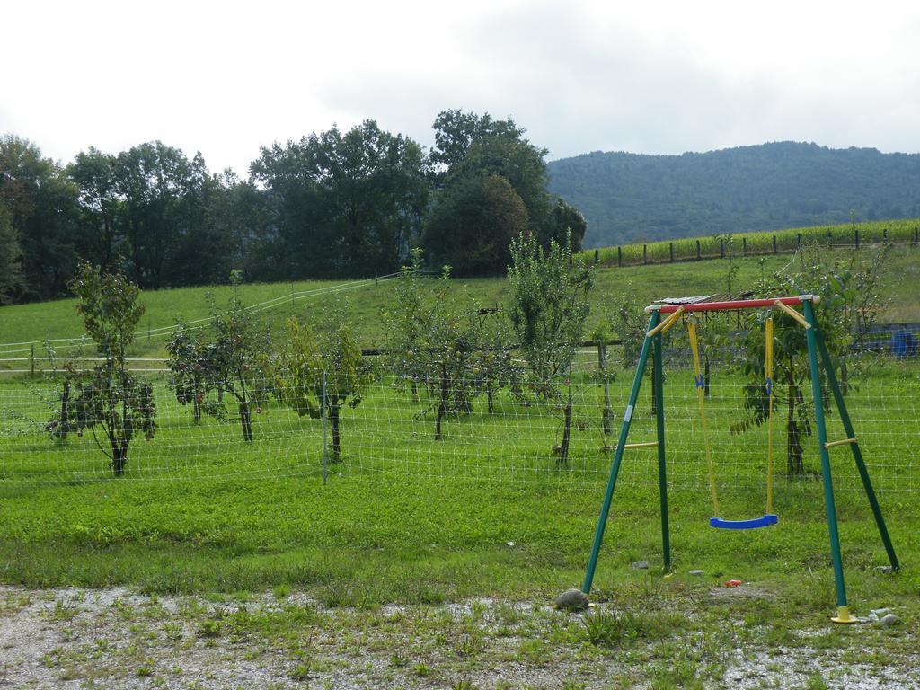 Agriturismo Al Bachero Μπελούνο Εξωτερικό φωτογραφία